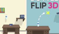 Bottle Flip