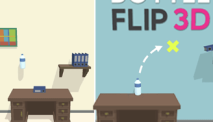 Bottle Flip