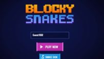 Blocky Snakes