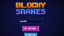 Blocky Snakes