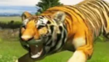 Tiger Simulator 3D