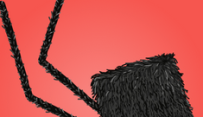 Daddy Long Legs